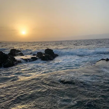 El Caleton, 아파트 *